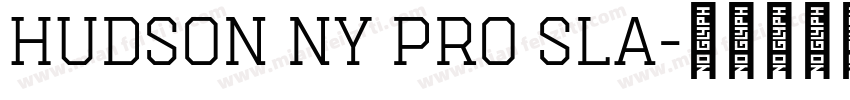 Hudson NY Pro Sla字体转换